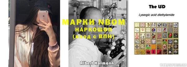 прущая мука Корсаков