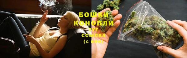 стаф Коряжма