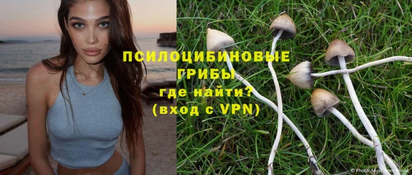 прущая мука Корсаков