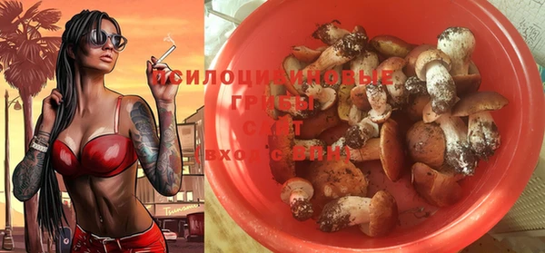 стаф Коряжма