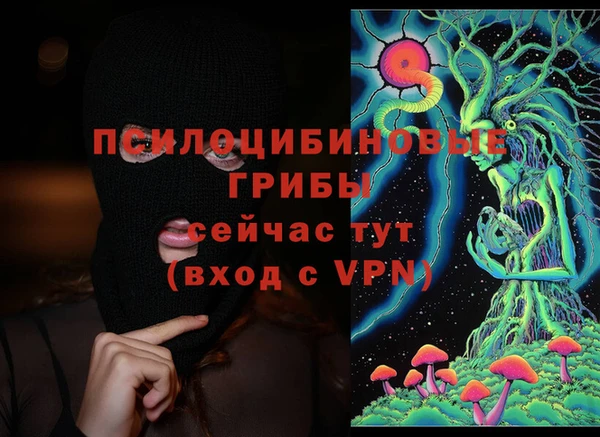 стаф Коряжма
